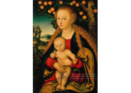 VlCR-44 Lucas Cranach - Madonna s dítětem pod jabloní