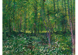 VR2-75 Vincent van Gogh - Stromy a křoví