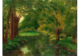 DDSO-2281 Gustave Courbet - Lesní potok