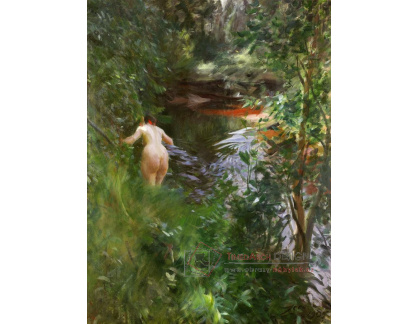 VSO1599 Anders Zorn - V Gopsmoru