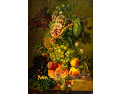 DDSO-4359 Albertus Jonas Brandt - Zátiší s květinami a ovocem