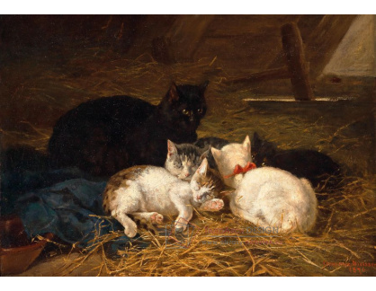 A-4010 Clementine Nielssen - Kočičí rodina v seníku