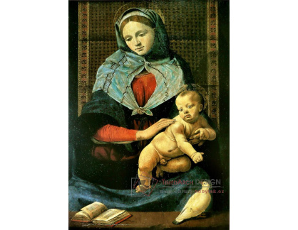 VSO155 Piero di Cosimo - Madonna a dítě s holubicí