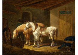 SO XII-227 Johann Baptist Dallinger - Koně ve stáji