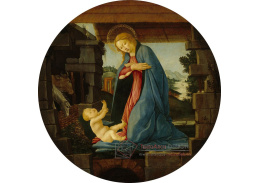 D-8307 Sandro Botticelli - Madonna zbožňující dítě