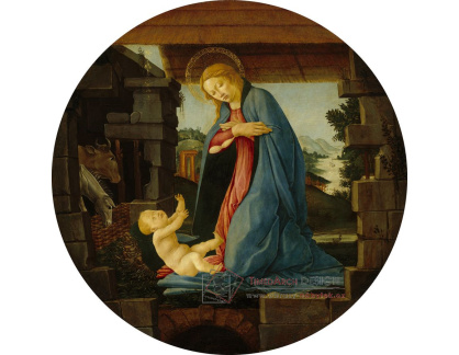 D-8307 Sandro Botticelli - Madonna zbožňující dítě