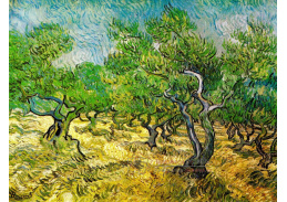 VR2-174 Vincent van Gogh - Olivovníkový sad