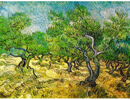 VR2-174 Vincent van Gogh - Olivovníkový sad