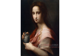 SO VII-369 Domenico di Bartolomeo Ubaldini - Portrét ženy