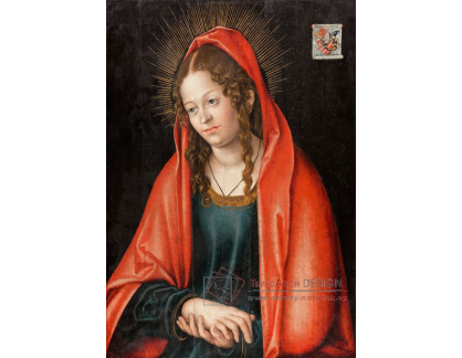 D-6080 Lucas Cranach - Bolestná Panna Maria