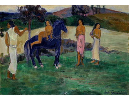 A-101 Paul Gauguin - Do nového domova