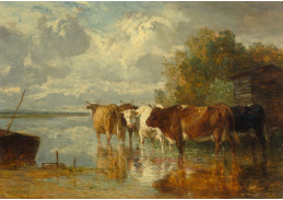 D-6606 Constant Troyon - Krávy u vody