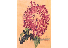 VES 125 Egon Schiele - Rudé chryzantémy