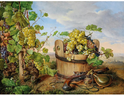 DDSO-1374 Franz Xaver Petter - Zátiší s hroznovým vínem