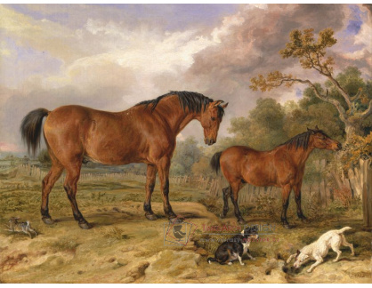 SO IX 245 James Ward - Dva koně a psy