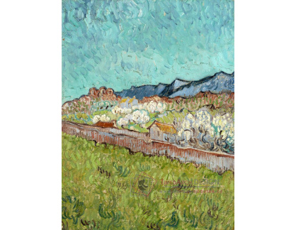 A-3232 Vincent van Gogh - Pohled na Alpilles