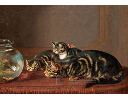 DDSO-1639 Horatio Henry Couldery - Kočky u akvária