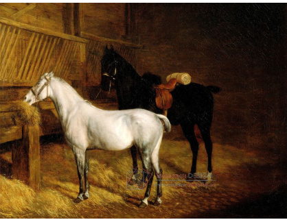SO V-504 Jacques-Laurent Agasse - Černý a bílý kůň ve stáji