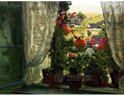 D-5757 Alois Kalvoda - Květiny v okně