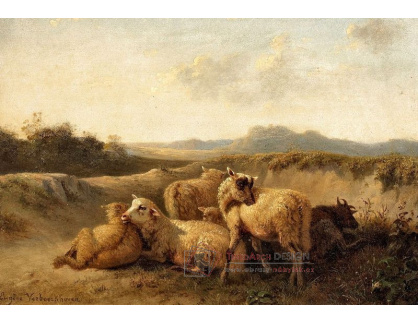 SO VI-258 Eugene Verboeckhoven - Krajina se stádem ovcí