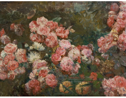 A-6874 Eliseu Visconti - Květiny