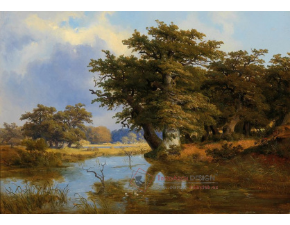 DDSO-1757 Ludwig Christan Wagner - Staré duby na břehu řeky