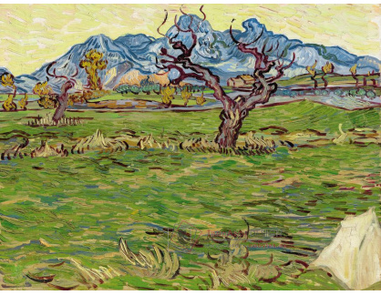 A-3185 Vincent van Gogh - Krajina s olivovníky a horami v pozadí
