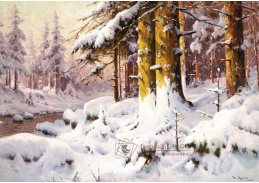 A-8462 Walter Moras - Zimní les