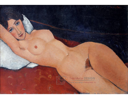D-6993 Amedeo Modigliani - Ležící ženský akt na polštáři