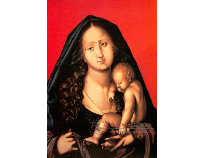 VSO188 Hans Baldung - Madonna s dítětem