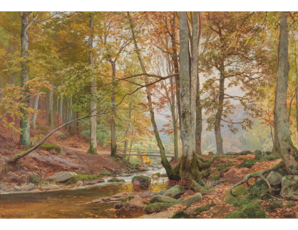DDSO-5029 Heinrich Böhmer - Podzimní les s mostem přes potok
