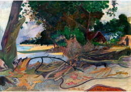 R9-314 Paul Gauguin - Hibiskus