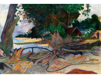 R9-314 Paul Gauguin - Hibiskus