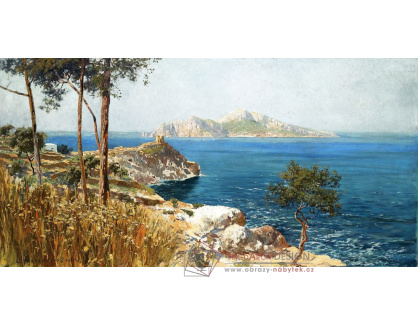 VP359 Carlo Brancaccio - Capri od Sorrento