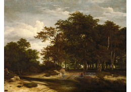 SO V-495 Jacob van Ruisdael - Velký les