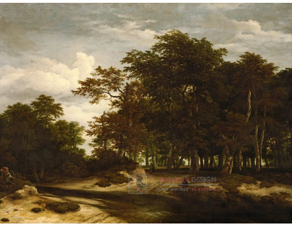 SO V-495 Jacob van Ruisdael - Velký les