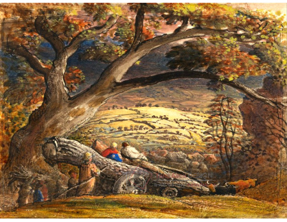 SO XII-335 Samuel Palmer - Kmen na voze