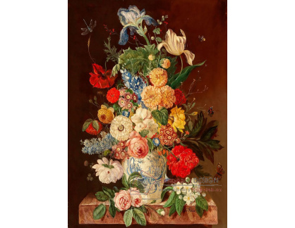 A-1415 Franz Xaver Pieler - Velké květinové zátiší s vážkou a motýly