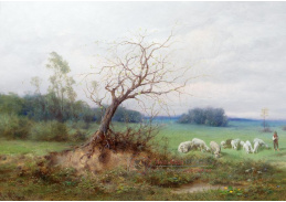 DDSO-5312 Raimund Ritter von Wichera - Stádo ovcí s pastýřem v otevřené krajině