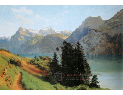 VSO 525 Alexandre Calame - Jezero Lucerne