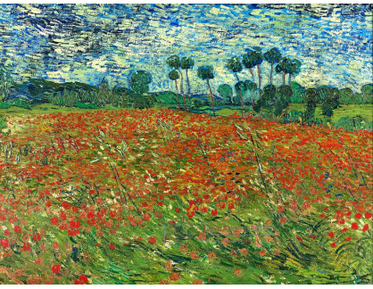 VR2-125 Vincent van Gogh - Maková pole