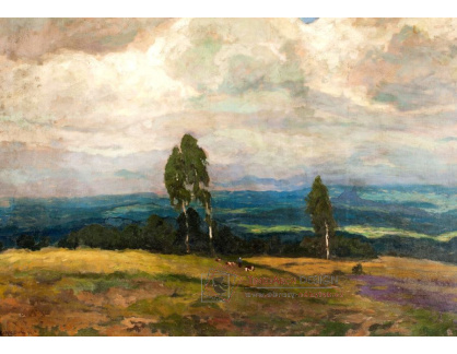 VCM 251 Gustav Macoun - Krajina s břízami