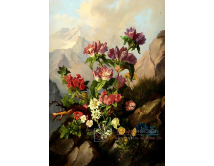 D-9175 Neznámý autor - Alpské květiny před horským pozadím