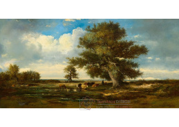 D-6574 Viktor Dupre - Krávy na pastvině  v široké krajině