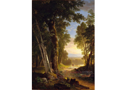 D-7763 Asher Brown Durand - Buky