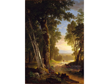 D-7763 Asher Brown Durand - Buky