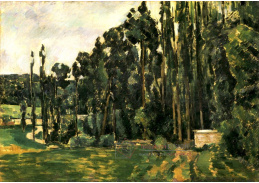VR10-29 Paul Cézanne - Topoly