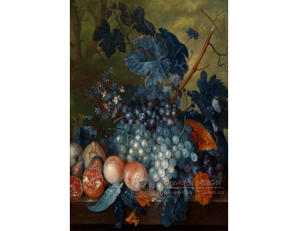 VKZ 441 Jan van Huysum - Zátiší s květinami, hrozny, granátovými jablky a jiným ovocem