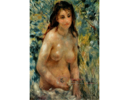 VR14-121 Pierre-Auguste Renoir - Nahota na slunci