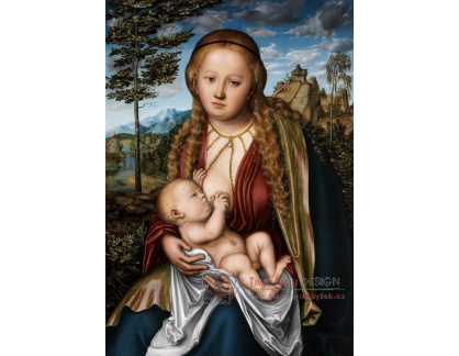 VlCR-131 Lucas Cranach - Madonna s dítětem